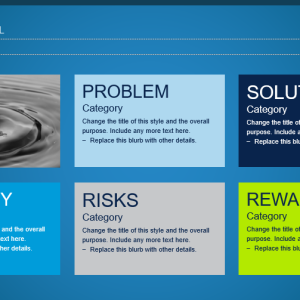 Project Management goal and description