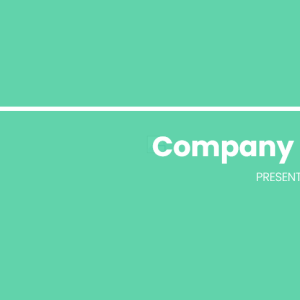 Company Profile