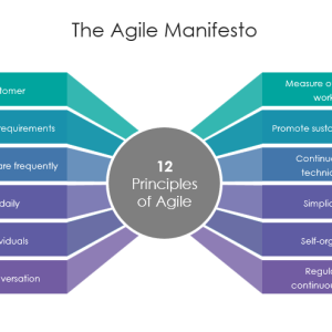The Agile Roadmap